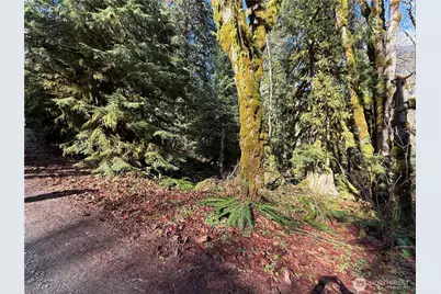 0 High Ridge Drive, Marblemount, WA 98267 - Photo 2