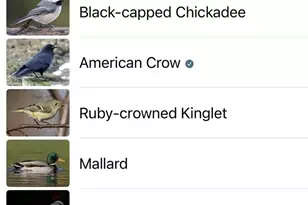 700 Front St S, Issaquah, WA 98027 - Photo 32