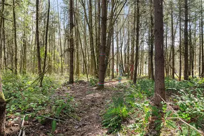 14229 Rainier View Drive SE, Yelm, WA 98597 - Photo 38