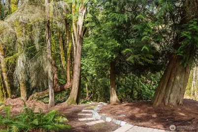 16908 SE Licorice Way, Newcastle, WA 98059 - Photo 38