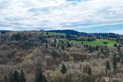 14021 SE 64th St, Bellevue, WA 98006 - Photo 38