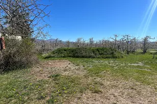 59 Hendrick Loop Rd, Omak, WA 98841 - Photo 4