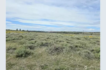 141 Middle Rd, Bickleton, WA 99322 - Photo 10