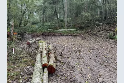 10909 W Morris Boulevard, Steilacoom, WA 98388 - Photo 22