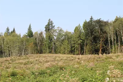 0 Cedar Creek Road, Oakville, WA 98568 - Photo 26