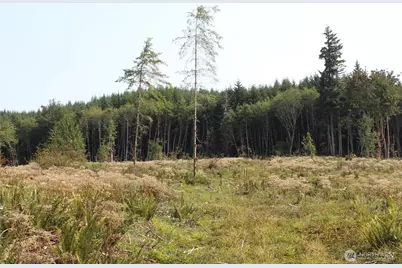 0 Cedar Creek Road, Oakville, WA 98568 - Photo 28