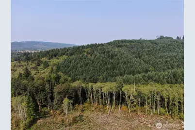 0 Cedar Creek Road, Oakville, WA 98568 - Photo 14