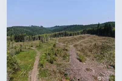 0 Cedar Creek Road, Oakville, WA 98568 - Photo 6