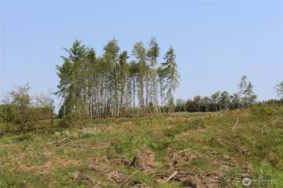 0 Cedar Creek Road, Oakville, WA 98568 - Photo 24