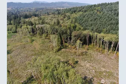 0 Cedar Creek Road, Oakville, WA 98568 - Photo 12