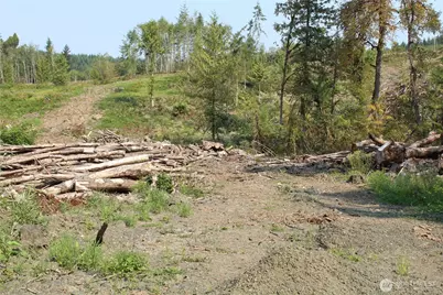 0 Cedar Creek Road, Oakville, WA 98568 - Photo 22