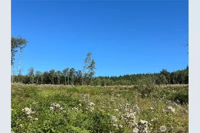 0 Cedar Creek Road, Oakville, WA 98568 - Photo 2