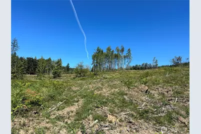 0 Cedar Creek Road, Oakville, WA 98568 - Photo 20