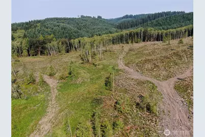 0 Cedar Creek Road, Oakville, WA 98568 - Photo 4