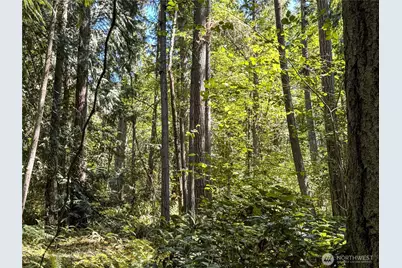 10 Th Ave To Forest Rock Lane NE, Poulsbo, WA 98370 - Photo 6