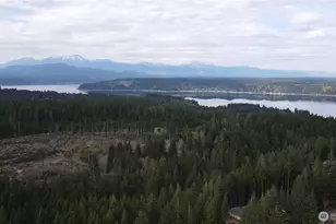 160 E Country Club Dr N, Union, WA 98592 - Photo 38