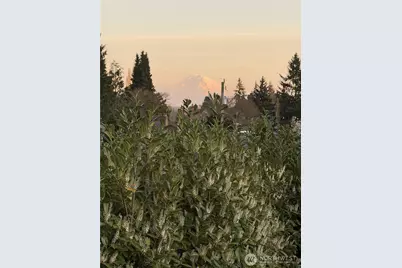 3813 NE 70th Street, Seattle, WA 98115 - Photo 30