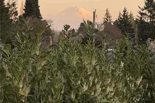 3813 NE 70th St, Seattle, WA 98115 - Photo 30