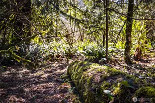 7595 Pressentin Ct, Concrete, WA 98237 - Photo 32