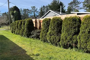 1309 257th Pl, Ocean Park, WA 98640 - Photo 32