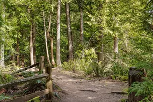 1125 Birch Falls Dr, Bellingham, WA 98229 - Photo 30