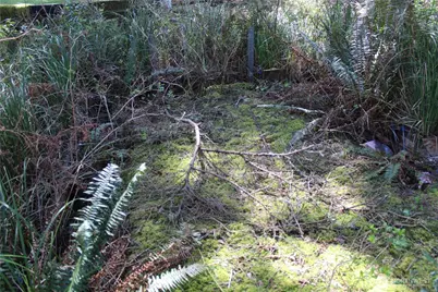 39 Dolphin Ln., Copalis Beach, WA 98535 - Photo 12