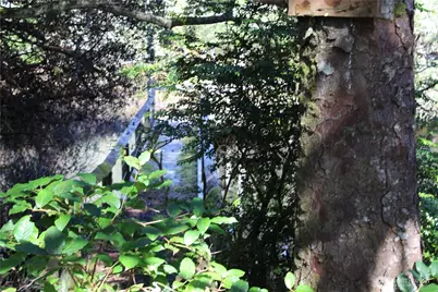 39 Dolphin Ln., Copalis Beach, WA 98535 - Photo 14