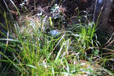 39 Dolphin Ln., Copalis Beach, WA 98535 - Photo 6