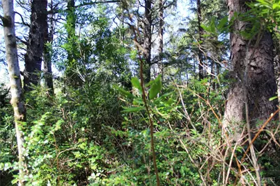 39 Dolphin Ln., Copalis Beach, WA 98535 - Photo 10