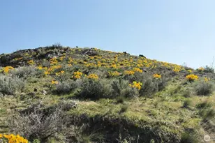 33 Avery Rd, Pateros, WA 98834 - Photo 1