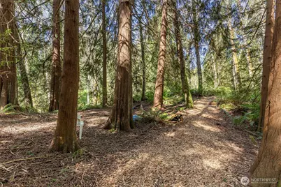 37060 Madrona Boulevard NE, Hansville, WA 98340 - Photo 2