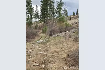 0 Tbd Twin Springs Road, Tonasket, WA 98855 - Photo 14