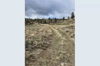 0 Tbd Twin Springs Road, Tonasket, WA 98855 - Photo 10