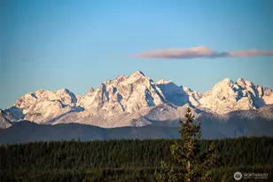 3221 Teal Lake Rd, Port Ludlow, WA 98365 - Photo 4