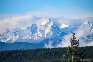 3221 Teal Lake Rd, Port Ludlow, WA 98365 - Photo 38