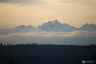 3221 Teal Lake Rd, Port Ludlow, WA 98365 - Photo 40