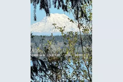 10911 Seaview Drive, Anderson Island, WA 98303 - Photo 1