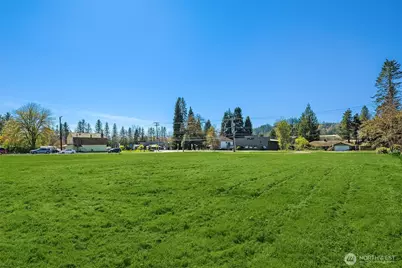 41 Xx Tolt Avenue, Carnation, WA 98014 - Photo 10