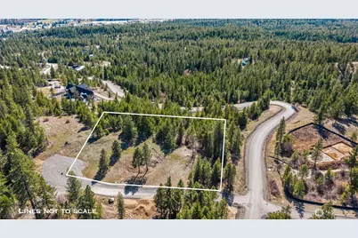 80 Forest Ridge (Lot 80) Drive, Cle Elum, WA 98922 - Photo 10