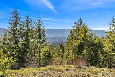 81 Forest Ridge (Lot 81) Drive, Cle Elum, WA 98922 - Photo 4