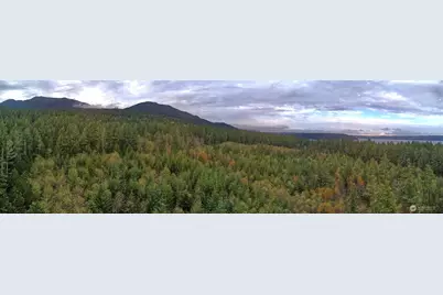 50 X Point Whitney Road, Brinnon, WA 98320 - Photo 10