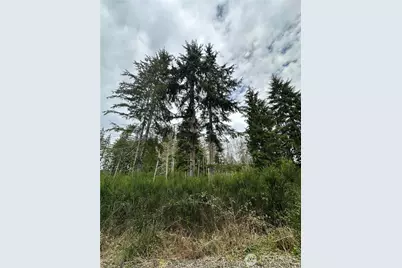 9945 Thomas Street, Forks, WA 98331 - Photo 4