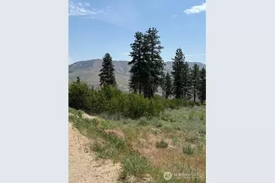 3 Ruttin Ridge Road, Methow, WA 98834 - Photo 26