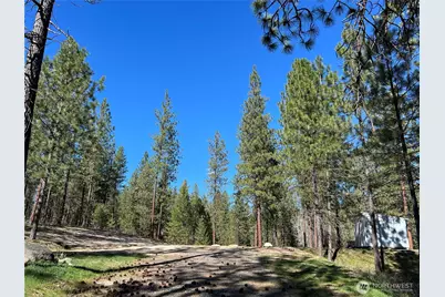 1069 B Kitt Narcisse Road, Colville, WA 99114 - Photo 6