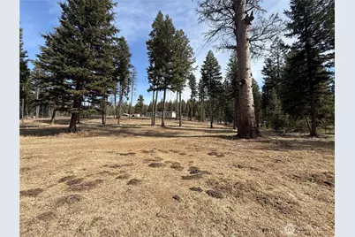 116 N Cape Labelle Road, Wauconda, WA 98859 - Photo 30