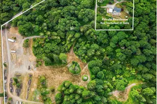 13 Xxx Carnation Duvall Road NE, Duvall, WA 98019 - Photo 14