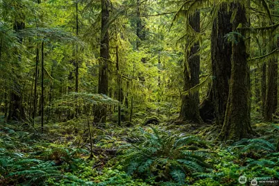 44110 SE 159th Street, North Bend, WA 98045 - Photo 2