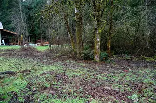 306 Minkler Rd, Winlock, WA 98596 - Photo 24