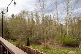 1438 Harvest Ave SE, Olympia, WA 98501 - Photo 40