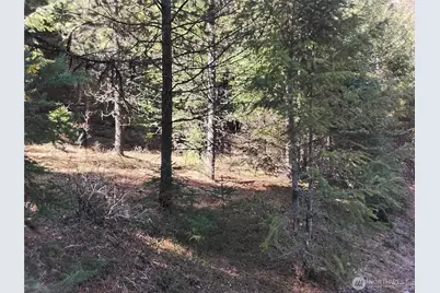 0 Cougar Loop Drive, Tonasket, WA 98855 - Photo 6